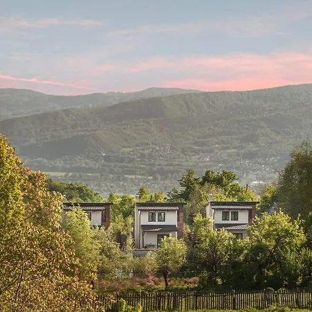 View Daesti