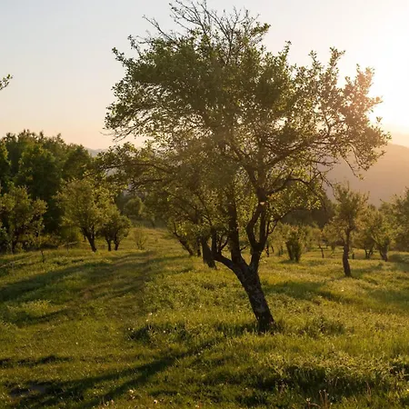 View Vilă Daesti